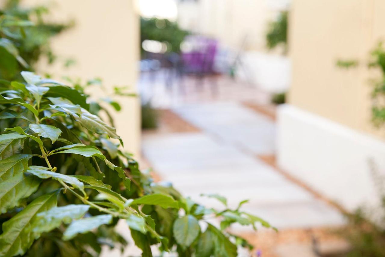 The Vic Hotel Πορτ Ελίζαμπεθ Εξωτερικό φωτογραφία